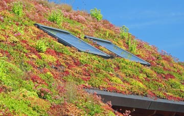 Mirehouse living roof systems
